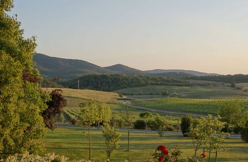 Manciano House | the house in the garden