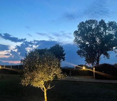 Montalto di Castro Apartment | THE RANCH Apartment 3 Capalbio