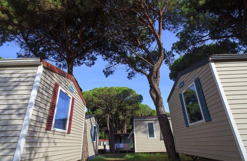 Zadina Pineta Villa | Tidy chalet in a pine forest near the Adriatic sea