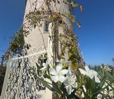 Vico del Gargano Bed & Breakfast | Torre Biancaluna