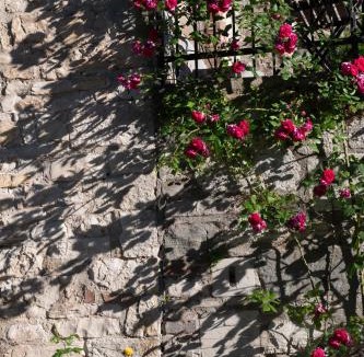 Todi House | Torre Caetani- Night in a medieval tower