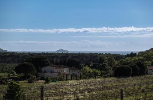 Scarlino House | Torre Civette - Wine & Sea Retreat