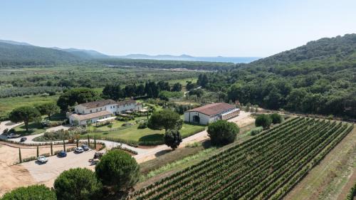 Scarlino House | Torre Civette - Wine & Sea Retreat