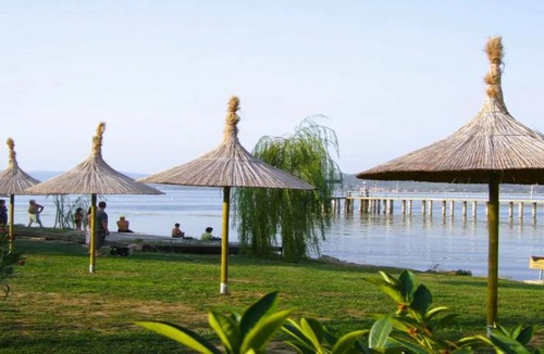 Magione Other | Trasimeno Glamping Resort