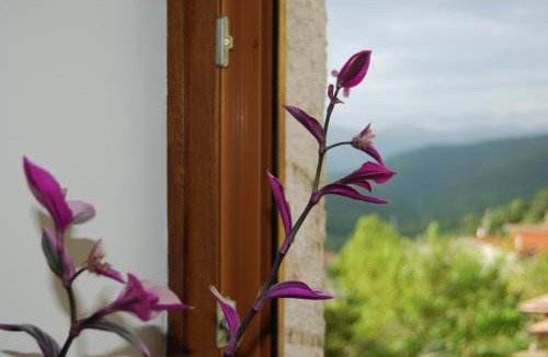 Longano Apartment | TreeStay - Modern 2 Floor 2 Bathroom Apartment