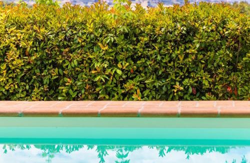 Castiglione della Valle House | Un Petit Paradis
