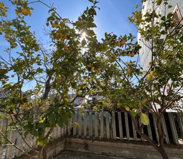 Lido di Campomarino Apartment | Vacanze da Paola