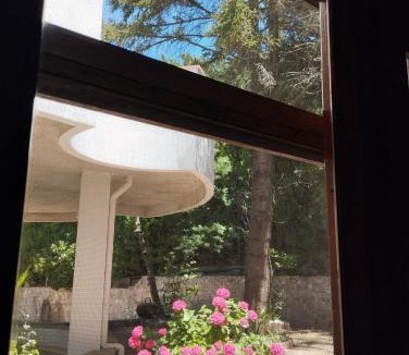 Salerno Bed & Breakfast | Verde Smeraldo