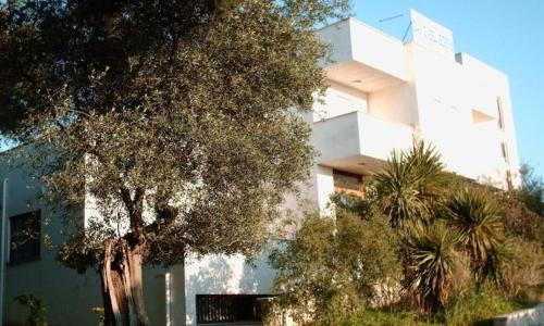 Montincello Apartment | Vieste Gallo Blu Apartaments