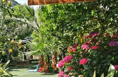 Sant'Egidio del Monte Albino Apartment | Villa le Favole Apartments
