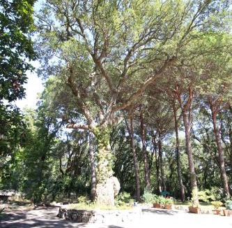 Sabaudia Bed & Breakfast | Villa alla Baia d'argento