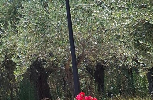 Torino di Sangro House | Villa Annamaria
