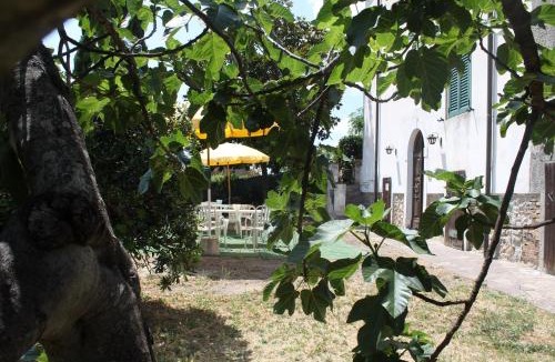 Ravi Villa | Villa Baisi - Vista Panoramica