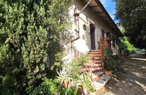 Gallignano Apartment | Villa Carla - vicino alla Riviera del Conero e ai Colli dell' Infinito