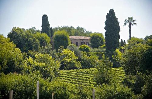 Potenza Picena Villa | Villa Chloe - Luxury retreat