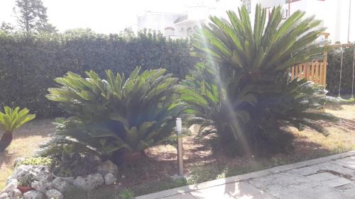 Municipio 5 Bed & Breakfast | Villa Del Mar