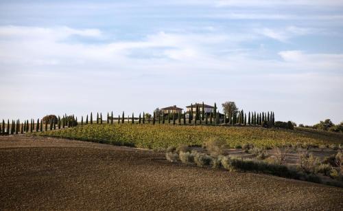 San Venanzo Villa | Villa Delle Vigne
