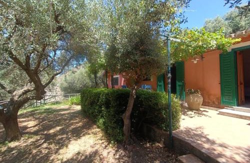 Coccorino Villa | Villa Gemma