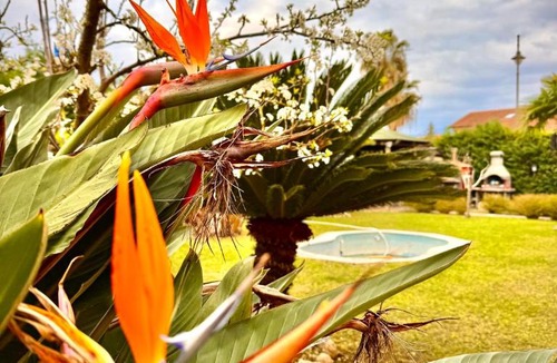 Marina di Casal Velino Villa | Villa Graziosa