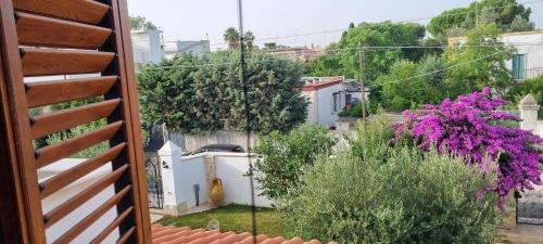 Municipio 4 Bed & Breakfast | Villa Guajira