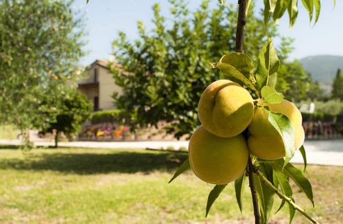 Spello Villa | villa julia in spello