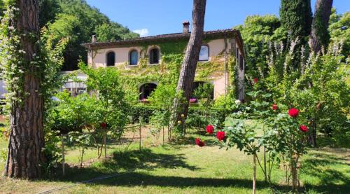 Subbiano Bed & Breakfast | Villa la Ginestra - Charming Country Rooms
