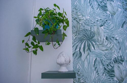 Palese House | Villa Magnolia con giardino