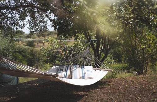 Civitanova Alta Bed & Breakfast | Villa Mariposa