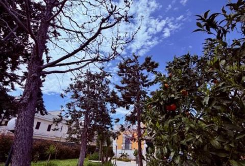 Trani House | VIlla Monte D'Alba