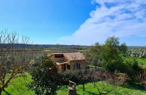 Musignano House | Villa Oliva