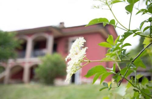 Apecchio House | Villa Patty villa con piscina e camino nelle Marche