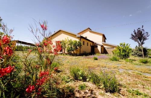 Grosseto House | Villa Podere 109 - BioWine
