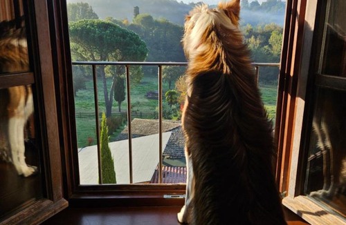 Reggello Hotel | Villa Rigacci