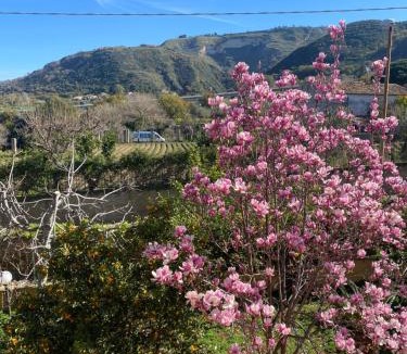 Tropea Bed & Breakfast | Villa Saturno