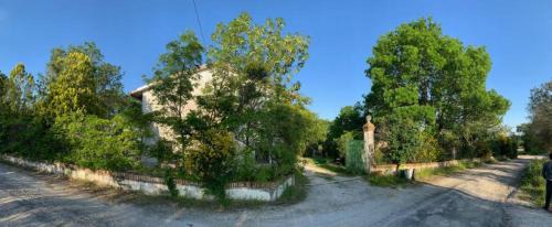 Montemarciano House | Villa Trau