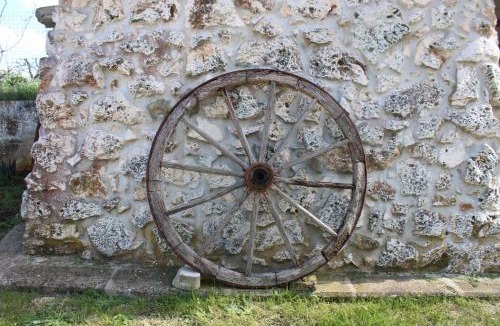 Acquaviva delle Fonti House | Villa Trellame - Casa vacanze tra gli ulivi