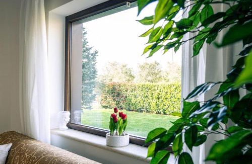 San Salvatore Telesino Villa | VILLA Vigne Vecchie