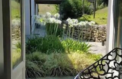 Spoltore House | Villa with olive grove in Abruzzo