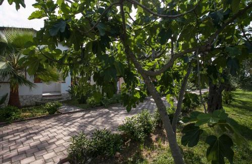 Defensola Apartment | Villaggio Alba Chiara