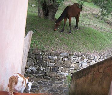Torraca House | Villaggio rurale San Martino