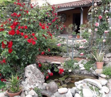 Villaromagnano House | villart