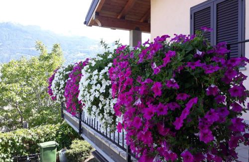 Aosta Villa | Villetta maison hélène CIR n 0391