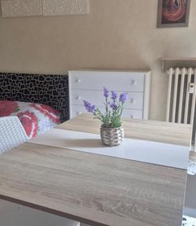 Vanchiglietta Apartment | Vista Po