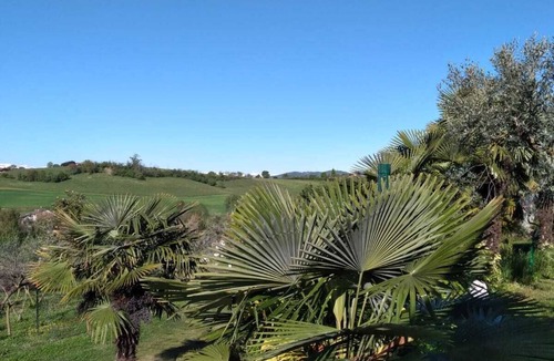 Chieri Apartment | Wonderful vacation apartment in an olive grove.