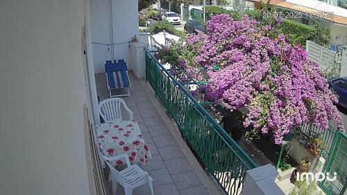Santo Spirito Apartment | Zolazale a mare alloggio privato