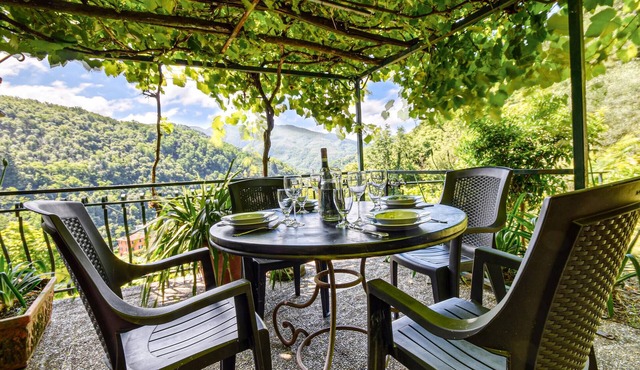 1 bedroom lovely apartment in Mezzanego