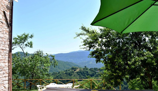 Agriturismo Il Loppo, your Home in the Woods