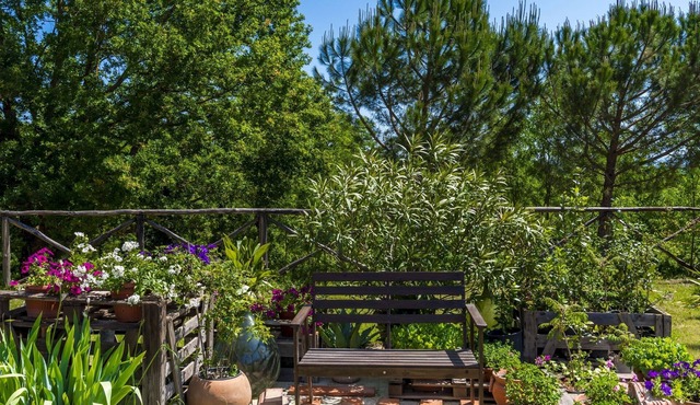 Apartment between Florence Siena and Arezzo, swimming pool, barbecue and large green space in Latereto