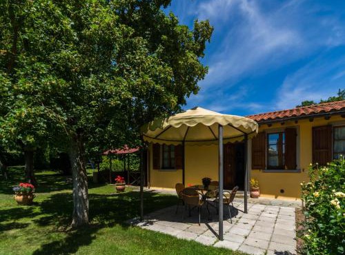 Authentic farmhouse in Castiglion Fiorentino with organic wines
