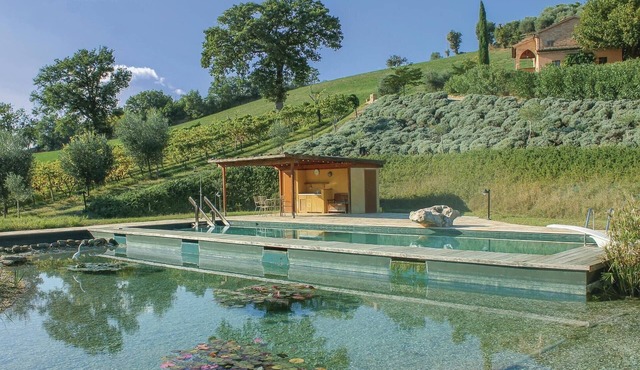 Awesome home in Ostra Vetere (AN)